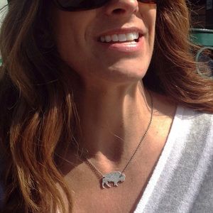 Buffalo Matte Silver necklace Handmade in Montana by Daphne Lorna